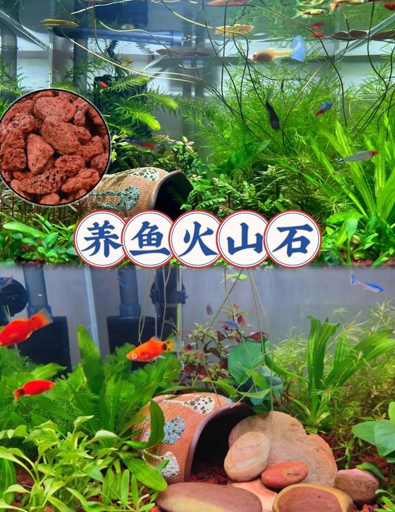鱼缸火山石多久换一次比较好