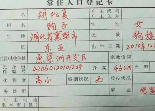 户籍填什么意思