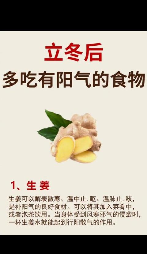 补阳的十大食物