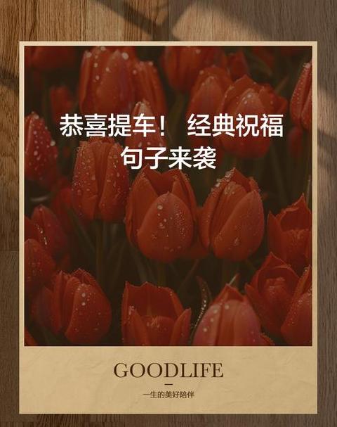 喜提爱车祝福语高端句子