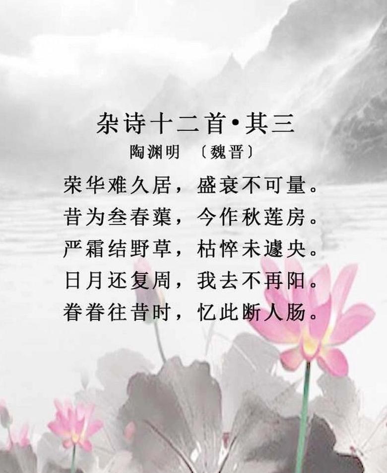 杂诗晋陶渊明怎么读