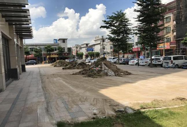 物业小区内私自搭建归谁管
