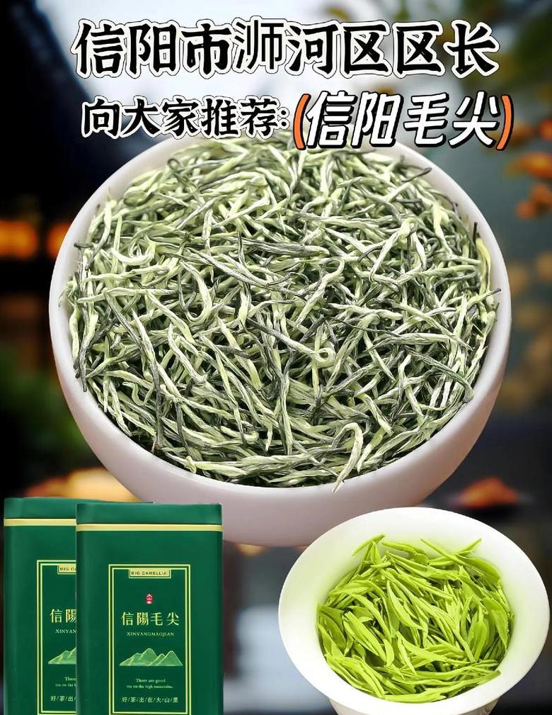 信阳毛尖茶价格