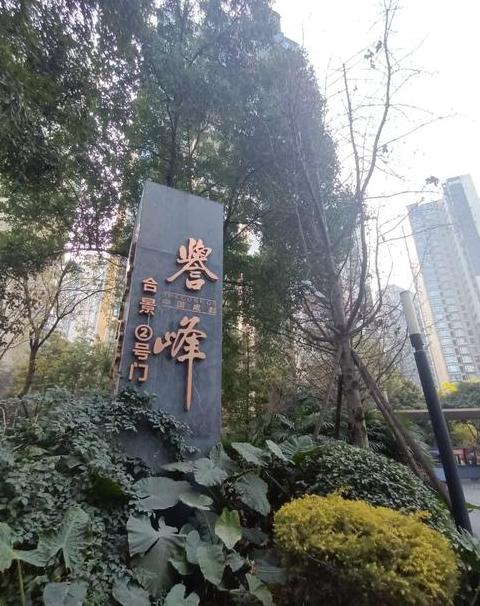 成都誉峰楼盘详情