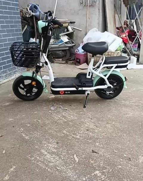 雅迪小钢炮电动车多重