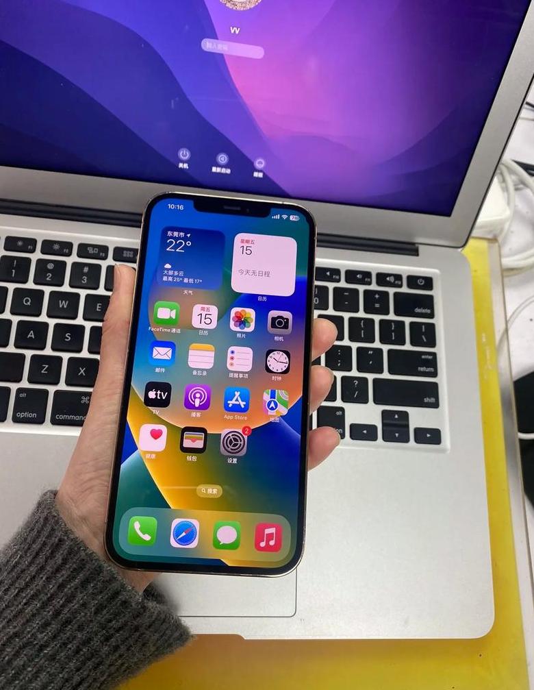 苹果12promax怎么调震动