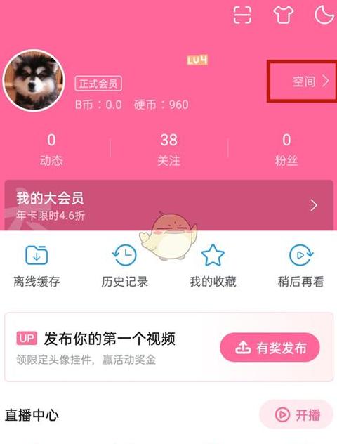 b站如何查看经验记录