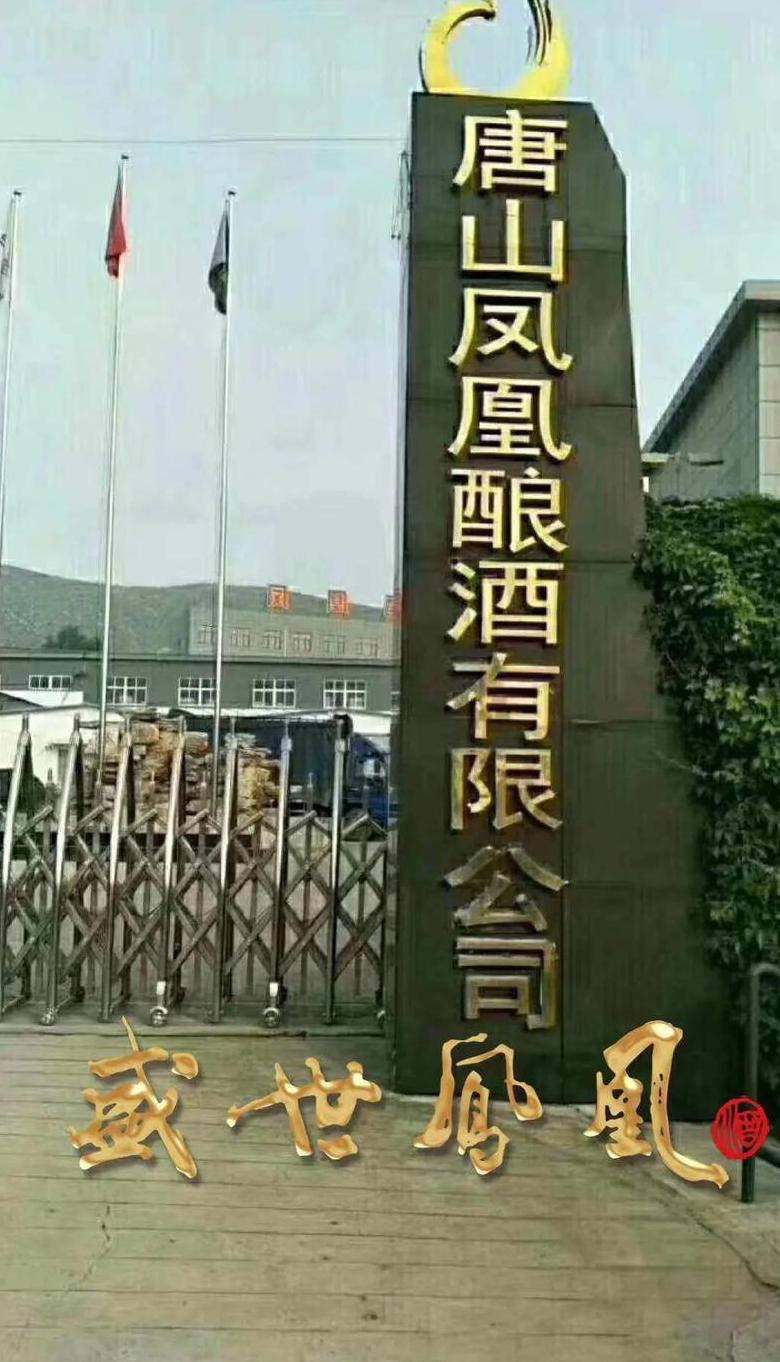 盛世凤凰42度酒价格表