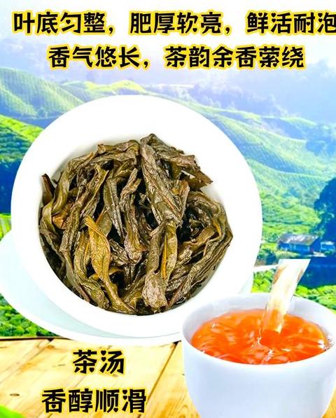 顺源鹏武夷山岩茶水仙