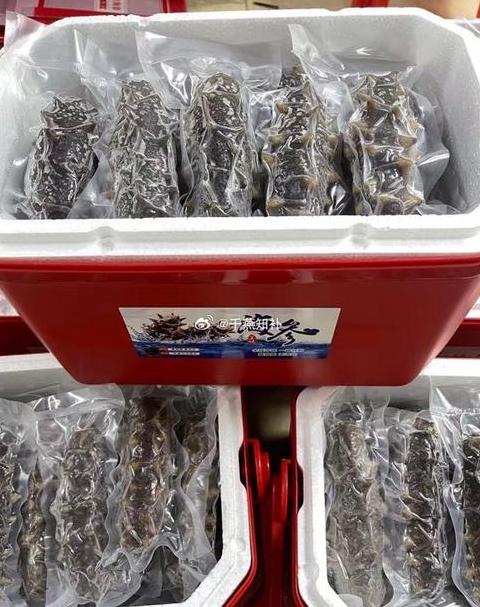 海参礼盒怎么选