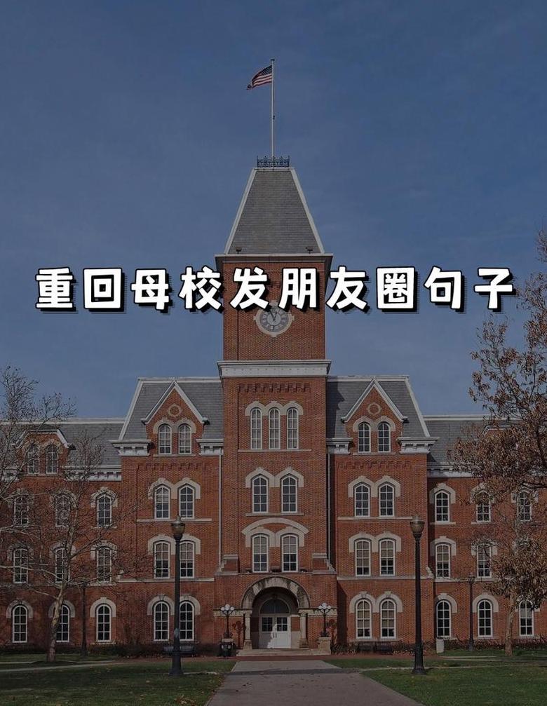校园之美：温馨颂歌，共筑教育辉煌