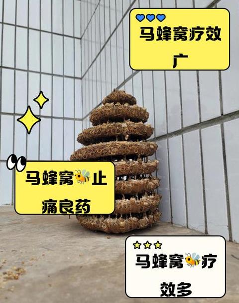 晚上抓马蜂窝需注意什么