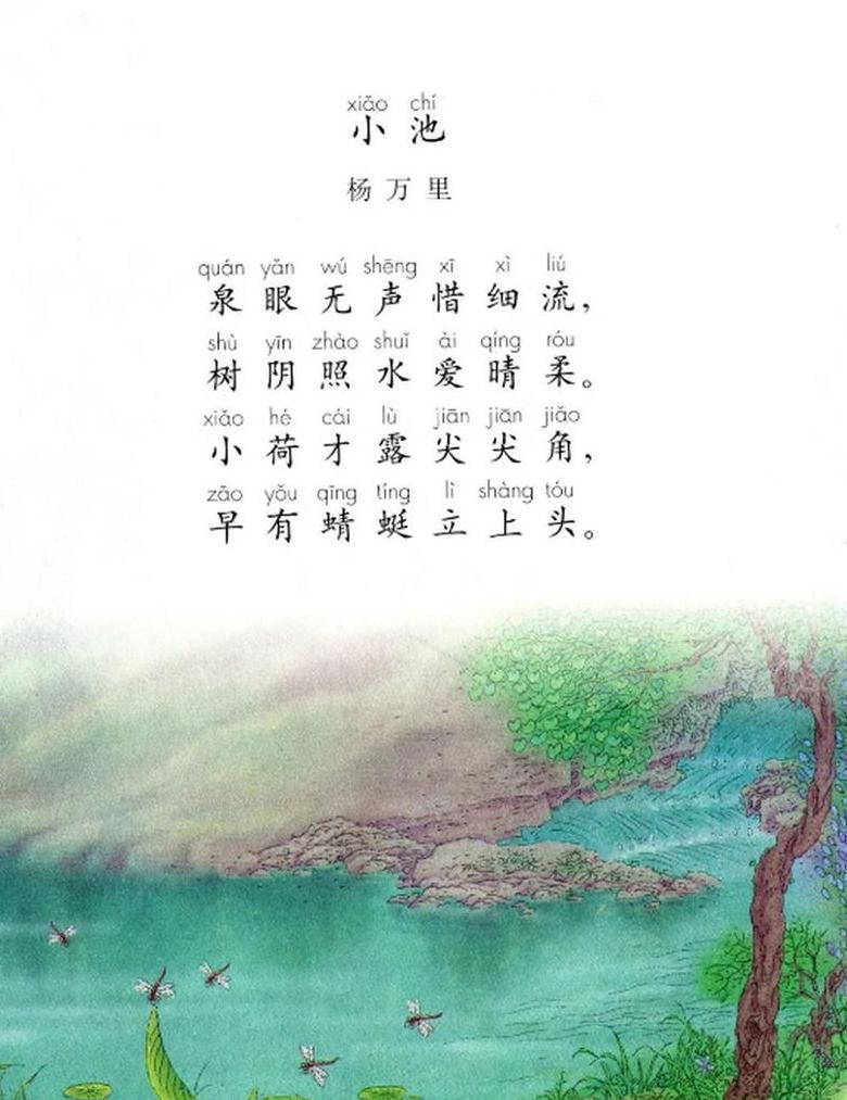 _小池池