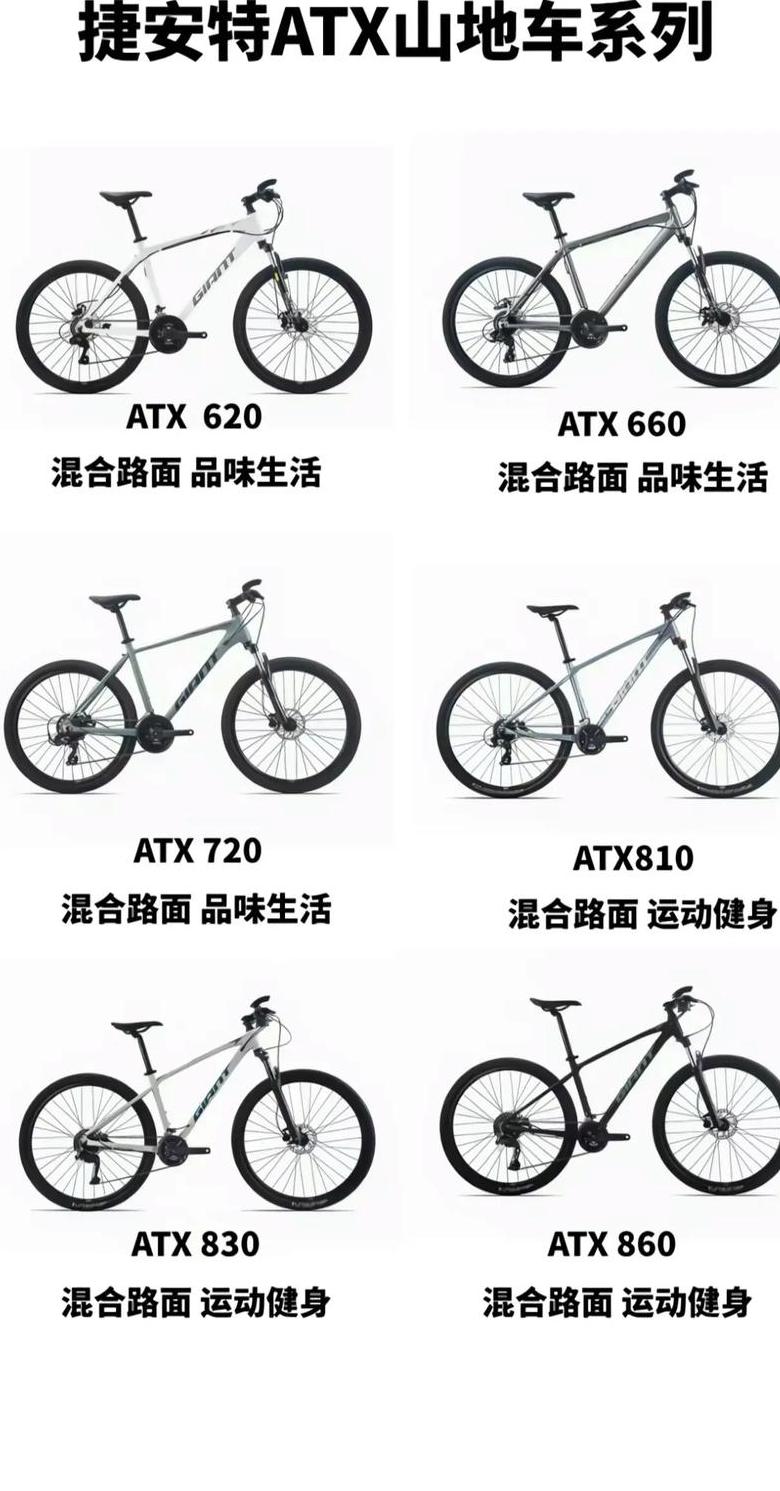 捷安特怎么查自行车型号