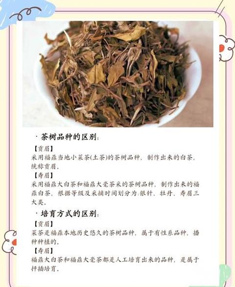 白茶寿眉和贡眉哪种好