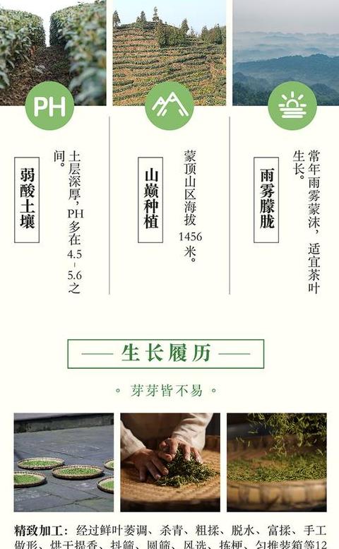 雅安蒙顶山茶甘露价格