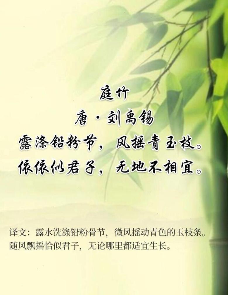 竹子寓意和象征句子