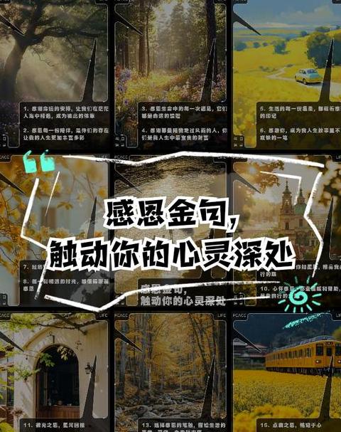 2024年感恩正能量句子精选