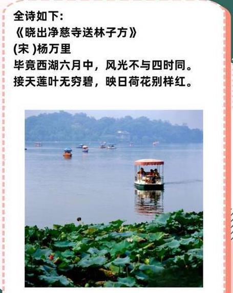 杨万里赞美荷花诗词