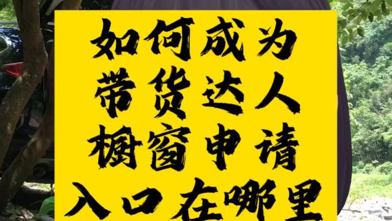 橱窗带货