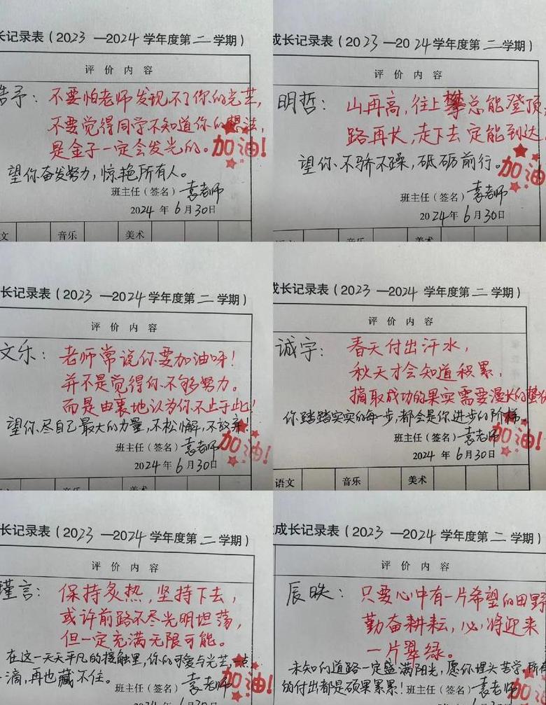 高三学生综合素质评价与班主任寄语