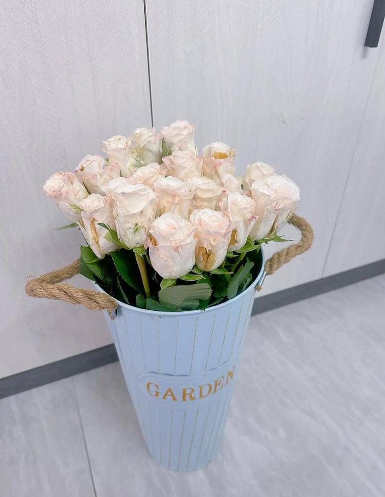 玫瑰花放花瓶怎么养活的