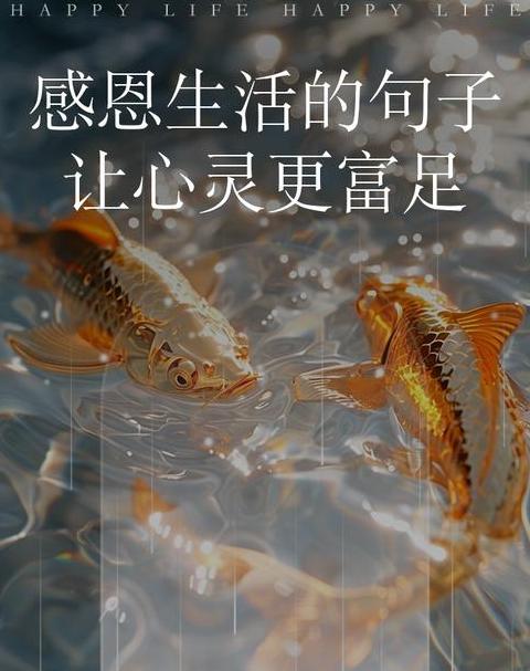 感恩生活所赐予的一切